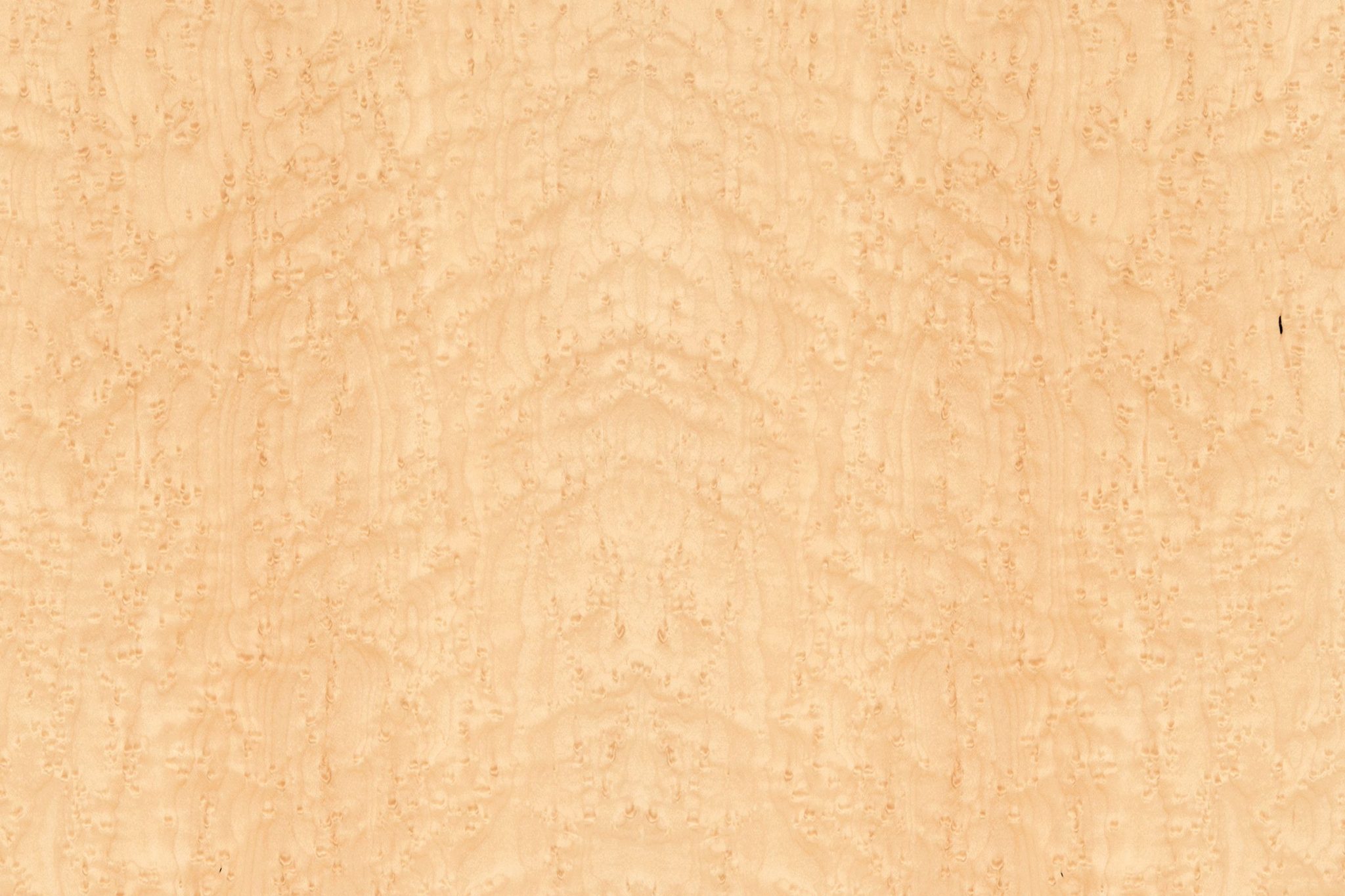 Birds-eye Maple | Processed Forest Products
