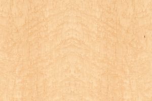 Birds Eye Maple