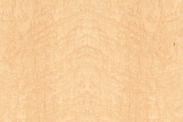 Birds Eye Maple
