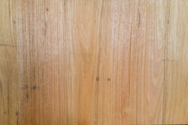 Blackbutt