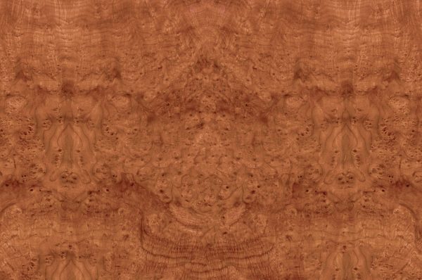 Madrona Burl