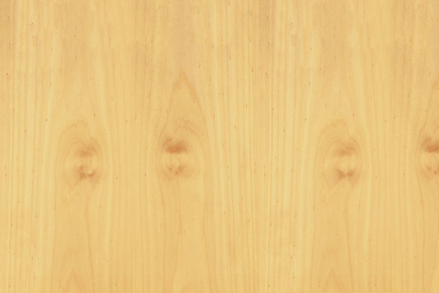 Pine Midi Hoops main image 1