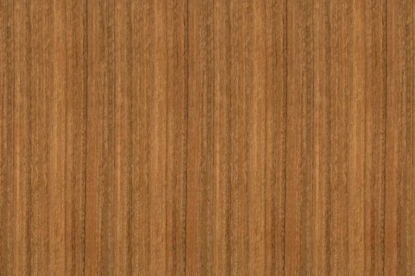 Spotted Gum