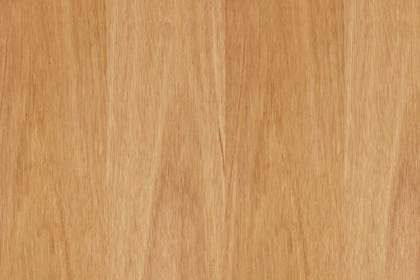 Tasmanian Oak