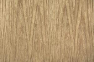 American White Oak