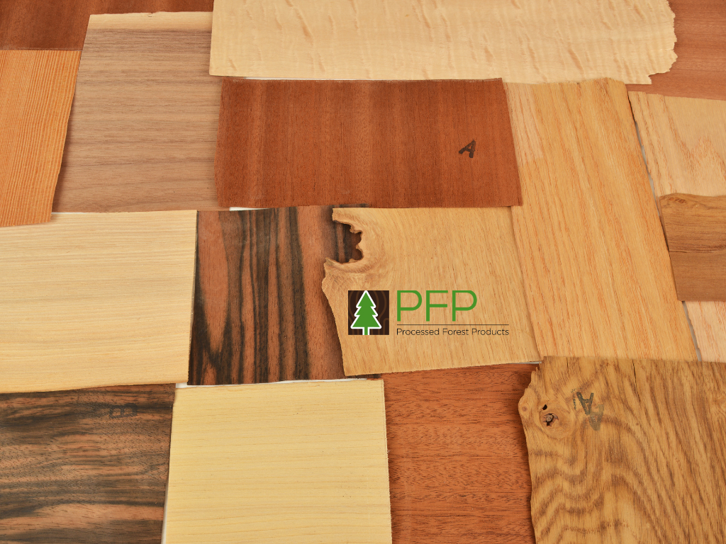 wood veneer design timberwood panels, anegre timber, anegre timber, Forest products, wood veneer supplies, wood veneer suppliers 
